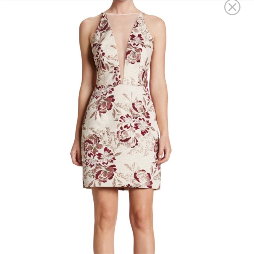 Dress the Population blush and gold Dress